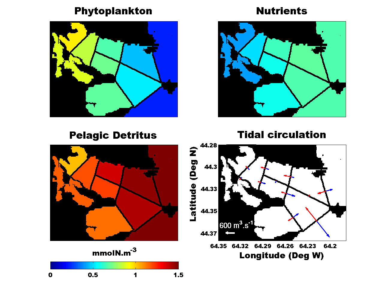 SimulationPlanktonDynamics