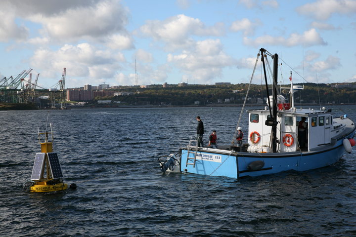 bedford basin